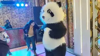 Bear dance at a birthday party 🥳🎉