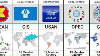 Popular Alliances Around the World || Comparison Video