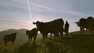 Dietisberg_der Film