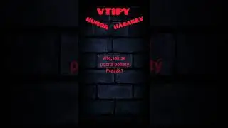Humor Vtipy H&aacute;danky #143 #vtipy #h&aacute;danka#vtipyczsk#čern&yacute;humor #humr#humor#youtubeshorts #vtip#humor