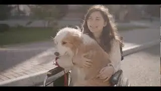 Earn Your Pet Friendly Real Estate Agent Designation