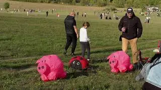 Święto Latawc&oacute;w w niemieckim Lebus