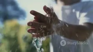 Kids video/how to wash hands/song