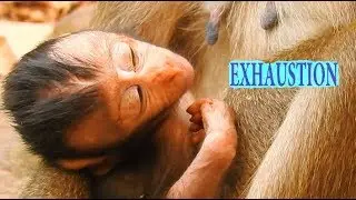 Little Baby Delena So exhausted | Young Mom DeeDee Not enough milk for her baby & Always escape Kari