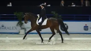 Kamil Puliński i Korra G - pokaz ujeżdżenia, Cavaliada, Warszawa, 15.03.2015