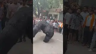 📍Sumerpur Rewari  #india #rajasthan #like #comedy #gorillatag #reels #instagram #trending #new
