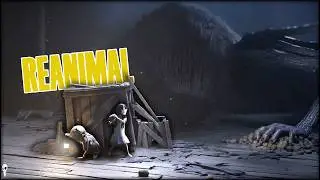 The 