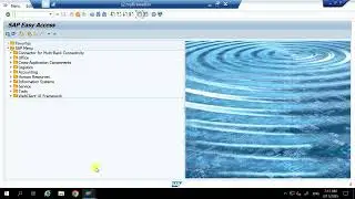 SAP FICO: Message No BS051 #