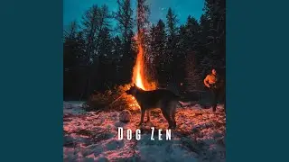Gentle Fire Sounds for Dogs