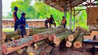 CRAZY AND BRUTAL! Watch an operator saw a 6m long piece of wood.