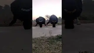 Morning workout.running karne ke baad.#motivation #armyattitudestatu #army #armymotivation #armystat