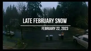 Late February snowfall  February 22, 2023 (4K Timelapse)