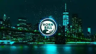 COSTA LEON - FLY WITH YOU (🔔HORNBILL CREATIONS🔔)