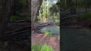 Skidaway Island State Park, Georgia