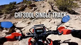 Is My 2024 Honda CRF300L Good At Single Track?