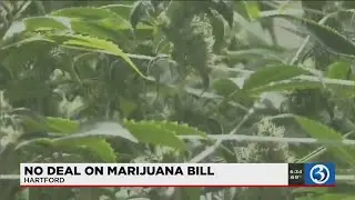 VIDEO: Lawmakers close out unusual session with passed budget, but leave recreational marijuana on