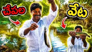 Back to Back Fish Hunting Catching Snakehead Fishing The Best Video