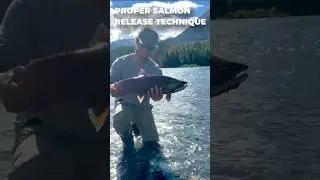 How to Release a Salmon (The Right Way) #salmon #fishing #alaska