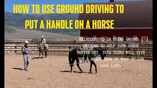 How to Use Ground Driving to Put a Handle on a Horse