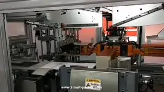Wine bottle cardboard carton box case wrapping packing machine customized rotary cartoner