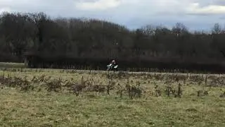 Kawasaki kx85