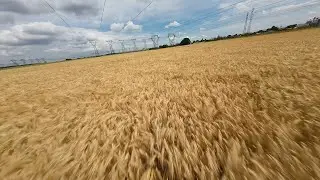 JeNo 3" - Wind and Bad Props