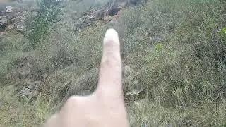 Refugio de los antiguos y de las bombas 
