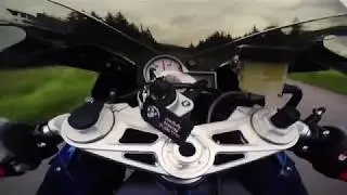 Trailer Dziki