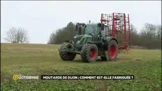 La fabrication de la vraie moutarde de Dijon