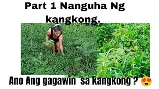 Masustansyang pagkain at simple mura lang , madaling lutuin ulam na. Mga pagkain mura sa bulsa