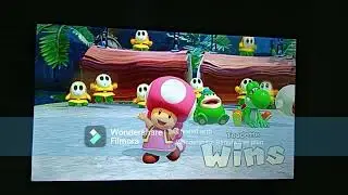 SMPJ - 30 Turns as Toadette Part 1 - Mega Wiggler's Tree Party 30 Turns Part 1: Turns 1-3