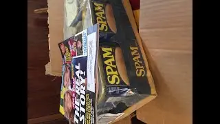 free magazine and prime pantry haul from amazon