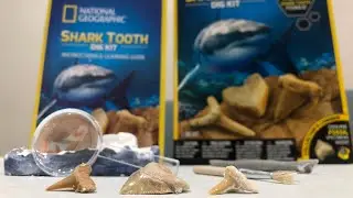 NATGEO - SHARK TOOTH DIG KIT ( REVIEW )