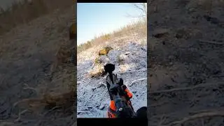 Perfect shot of big moose at snow  🫎#hunting #deer#moose#chasse