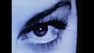 [free] (5+) darkwave + post punk loop kit 2024 - 