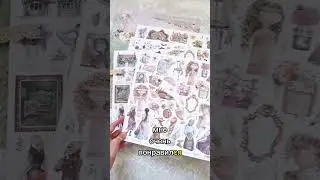 Обзор коллекции бумаги 
