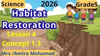 Science Grade5 | Habitat restoration | lesson 4 | Concept 1.3 | First term 2026 شرح ساينس خامسة
