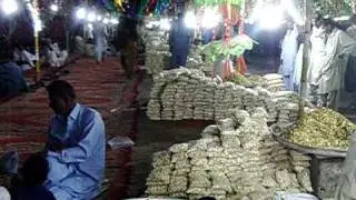 sindhi mela 1234