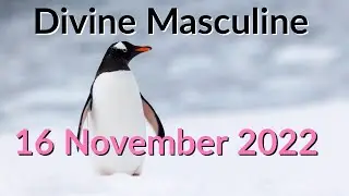 Divine Masculine Message&nbsp; - Penguin Power 🐧