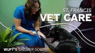 St. Francis Vet Care - WUFT's Greater Good