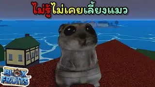 Не знаю. Я никогда не разводил кошек. [Blox Fruits]