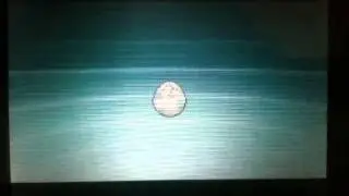 Things in Pokemon that don't make sense