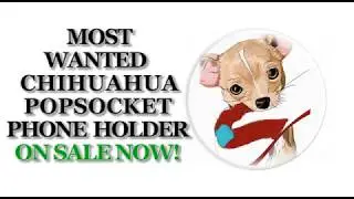 Chihuahua PopSocket Holder Mount Car - Chiwawa A - PopSockets Grip and Stand for Phones and Tablets