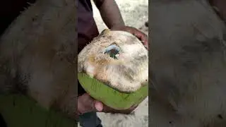 #jaffna fun with