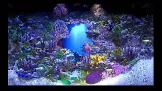 AQUARIUM / FISHTANK IDEAS - ultimate virtual fishtank