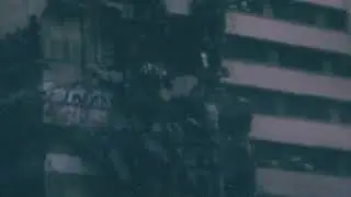foxwedding - GUILT