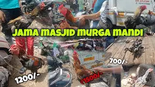 2023 Jama Masjid Murga Mandi || Saste Murge||मुर्ग़ा मंडी जामा मस्जिद #viral #trending #murgamandi