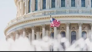 Animals elected to political office across US