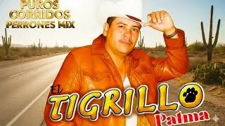 El Tigrillo Palma De Oro 💥 20 Exitos Puros Corridos Mix Para Pistear 2026