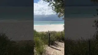 Hyams Beach, Australia #shorts #ytshorts #paradise #zen #relaxing #peaceful #meditate #beach #viral